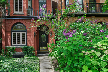 Sticker - Front yard of old brick houses with large lilac bush