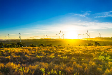 Wind turbine towers farm in a big field to generate electricity. Clean alternative energy concept to reduce global warming and climate change for sustainable growth.