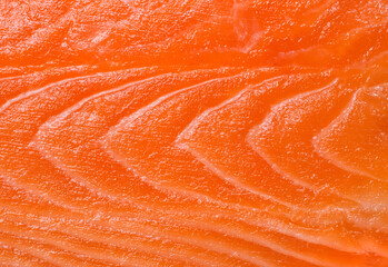 Salmon texture closeup background.