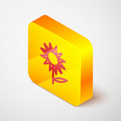 Wall Mural - Isometric line Sunflower icon isolated on grey background. Yellow square button. Vector