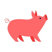 Domestic Pink Pig Flat Vector Illustration. People Feeding Pigs And Cow, Growing Natural Food Concept