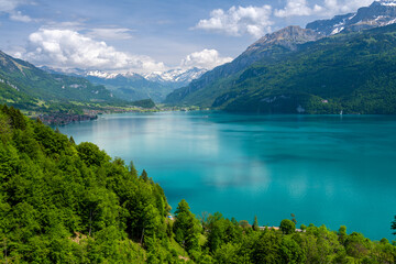 Wall Mural - amazing view on alpine lake Brienz in Switzerland