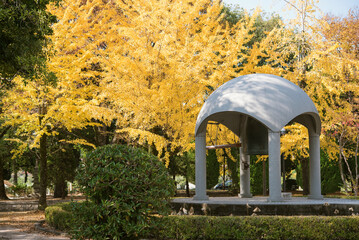 Wall Mural - 平和の鐘と黄葉したイチョウ　秋の広島平和記念公園　Peace bell and autumn yellow ginkgo leaves in Hiroshima Peace Memorial Park