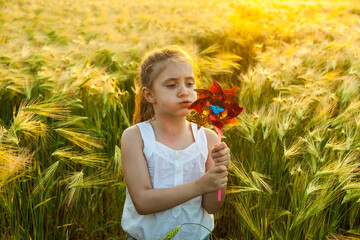 Wall Mural - Child holding wind toy on wheat field.