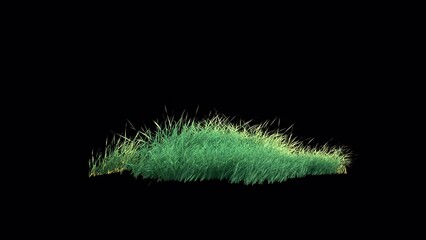 Wall Mural - grass wind slow seamless loop with alpha channel. element footage place on footage or background and