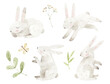 Watercolor cute bunnies. Summer animals set. Baby illustration. Easter rabbits.