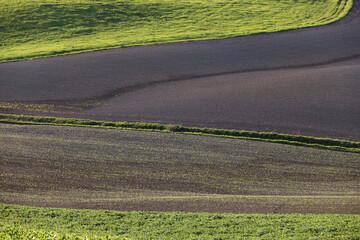 Canvas Print - Typical summer landscape in Tuscany, Italy, Europe