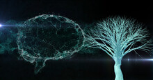 Image Of Brain Rotating Over Black Background With Lights And Tree