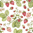Watercolor seamless pattern with vintage strawberry branch with berries, leaves and flowers. Isolated on white.