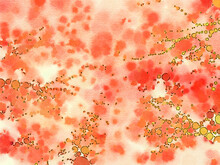 Orange Bubbles Watercolor Paper Background, Abstract Wet Impressionist Paint Pattern, Graphic Design