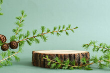 Wooden Podium With A Branch Of Larch On A Green Background.