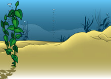 Sandy Seabed With Water Plants - Colored Cartoon Illustration As Background, Vector