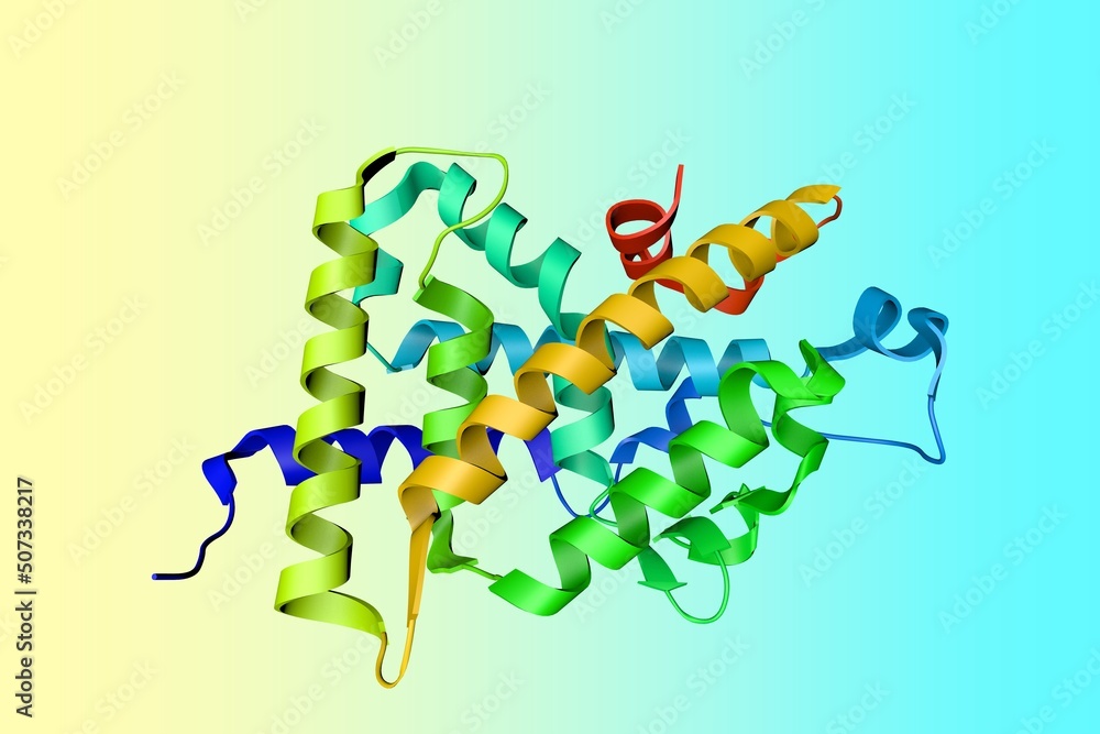 Crystal structure of the nuclear receptor for vitamin D in complex with ...