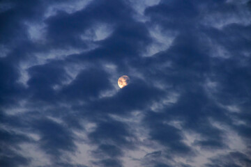 full moon partly covered with altocumulus clouds, just before the sunrise, almost dawn