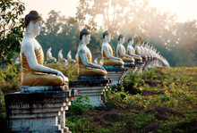 Buddhas Garden