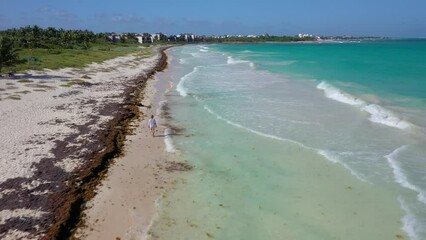 Wall Mural - Movie of a tropical beach in Mexico polluted with algae during the spring algae bloom caused by global warming during daytime