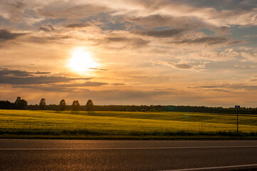 Wall Mural - sunset, beautiful sky road in the warm rays of evening light and a large field, silhouettes of trees on the horizon.