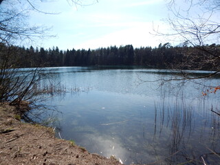 Sticker - lake in the forest