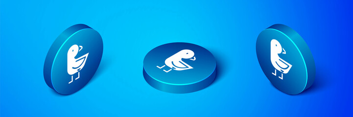 Poster - Isometric Little chick icon isolated on blue background. Blue circle button. Vector