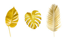 Set Of Gold Leaves  Palm Isolated
