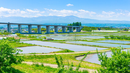 Wall Mural - 長野県佐久市の田んぼの風景