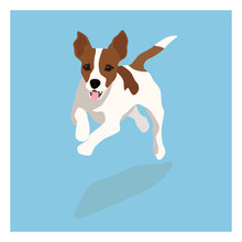 Jack Russell Terrier Picture. Funny Pet Dog Flat Vector Illustration. Fox Hunter Small Terrier, In Full Growth View