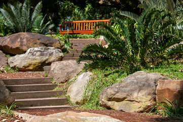 Sydney Australia, garden seat in rock garden with cycads