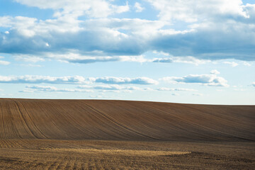 Wall Mural - freshly plowed field during sunset evening cloudy blue sky hill wallpaper