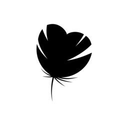 Wall Mural - Feather black silhouette. Isolated hand drawn doodle element on white background. Best for seamless patterns, print, cards, stickers and web design.