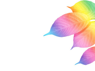 Wall Mural - rainbow colorful cherry leaves in spring summer on white background for ecology healthy lifestyle an