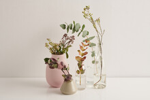 Still Life Composition Of Various Flowers And Plants In Vases Against White Background, Copy Space