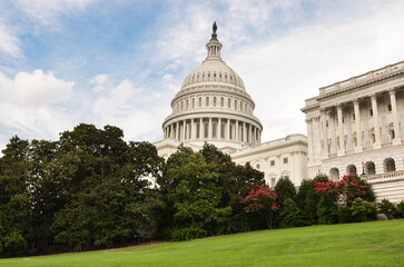 Wall Mural - US Capitol building - Washington dc united states