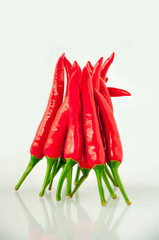 Poster - red, pepper, white, white background