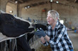 © Albina - Adult female is  at her workplace near cows at the farm.