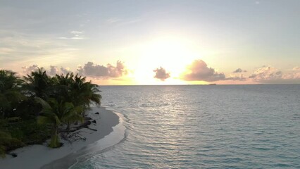 Wall Mural - maldivian island in indian ocean, camera moving along beach with palms and sand to open sea with sun