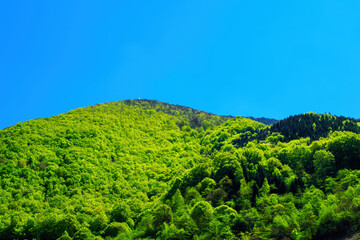 green hill with clear blue sky