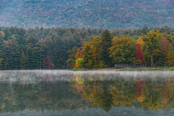 Sticker - Beautiful Fall colors lake morning fog