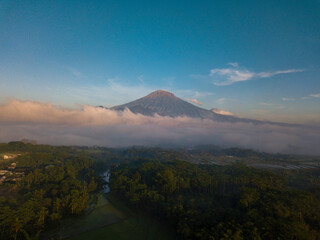 Wall Mural - Rural landscape of countryside, rice field, dense of trees with Sumbing Mountain on the background. Fog covers part of the area. Central Java, Indonesia