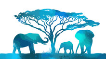 Blue Silhouettes Of Elephants In Africa. Vector Illustration