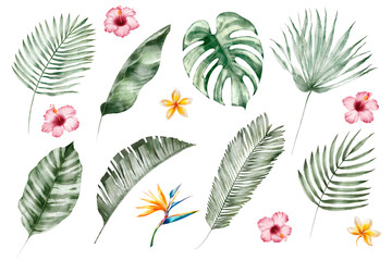 Wall Mural - Watercolor tropical illustration set: botanical leaves and flowers