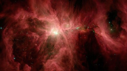 Wall Mural - star birth. stars form deep dark clouds of dust and gas.