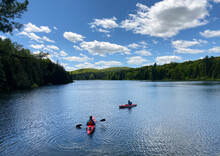 A Couple Kayaking On A Still Lake Surrounded By Forest In The Early Summer