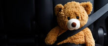 Brown Teddy Bear Wearing Car Seat Belt