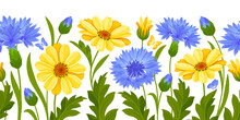Horizontal Seamless Border With Pattern Of Blue Cornflowers, Yellow Daisy Flowers, Leaves And Buds On A White Background. Vector Illustration