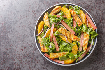 Canvas Print - Dietary light salad of grilled chicken, rhubarb, lettuce, onions and oranges close-up on a plate on the table. horizontal top view from above