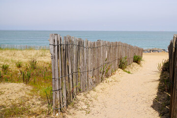 Wall Mural - access ocean sandy pathway fence wooden to ocean beach atlantic sea coast at isle oleron island in France