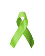 Lime green ribbon for awareness of Mental health illness, Lymphoma Cancer, Lyme Disease, Spinal Cord Injuries, Kabuki Syndrome, Duchenne Muscular Dystrophy, and Sexually Transmitted diseases