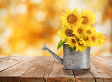 Bouquet Of Beautiful Yellow Sunflowers In Watering Can On Wooden Table, Space For Text