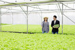 © P Stock - Quality inspector and female farmer at hydroponics farm.