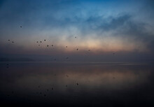 Foggy Lake Morning